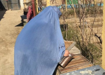Nearly 200 female beekeepers in Nangarhar have lost jobs since August 2021