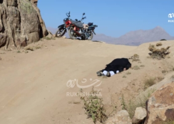 Young Afghan mother seeking divorce shot dead in ambush on way to court