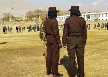 طالبانو په دوو ولایتونو کې د یو ښځې په ګډون څلور تنه په دورو ووهل