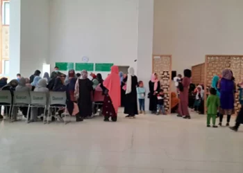 په بامیانو کې چوپ ناورین: د ککړو اوبو څخه د پښتورګو د تیږو ناروغۍ زیاتوالی