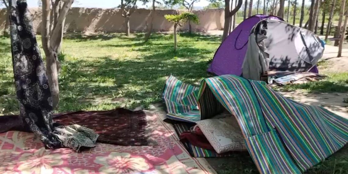 هرات کې په شعیه ګانو برید، «زما د دوه میاشتني لمسي مور یې و وژله»