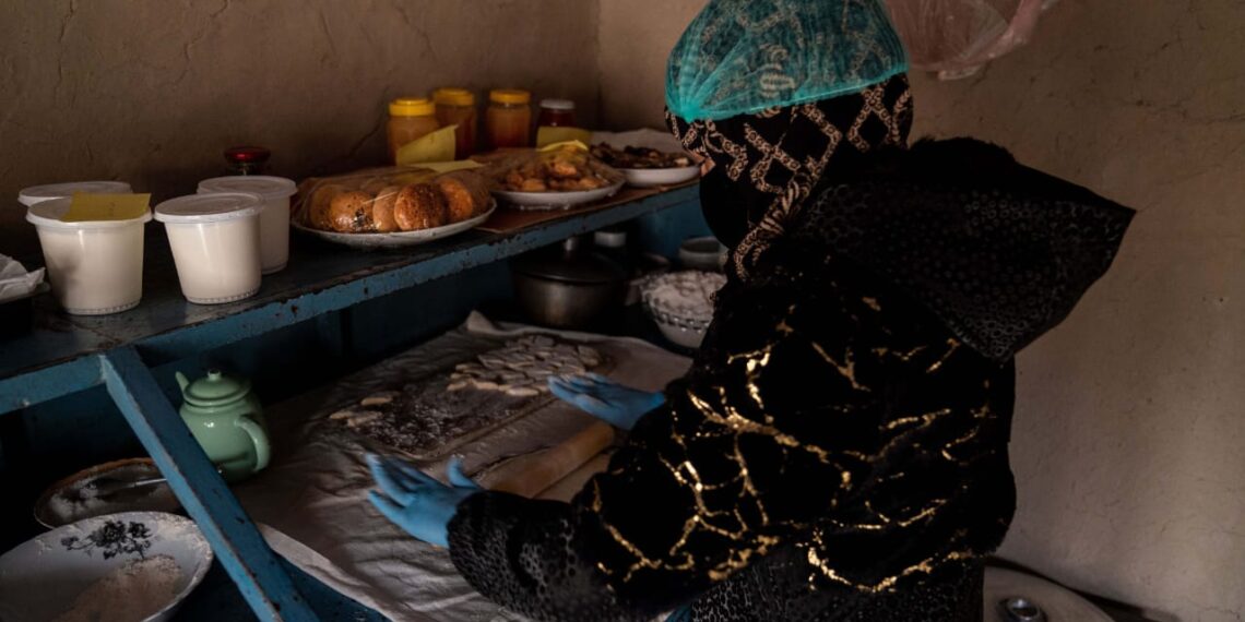 ملګري ملتونه: له ایران او پاکستان نه راستنې شوې ۱۷ سلنه افغان ښځې عاید لري