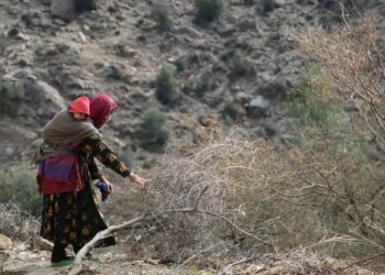 ملګري ملتونه: ښځې او نجونې د نورو په پرتله له اقلیمي بدلونو زیات زیان ویني