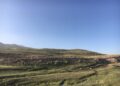 وسله والو کوچیانو د بامیان پنجاب کې درې نارینه وهلي او پر ښځو او ماشومانو یې ډزې کړې