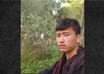له سړي تښتوونکو د خور په دفاع کې د محمد امین د وژنې نور جزیات