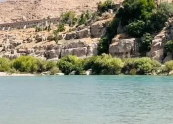 د ۴۱ ماشومانو او اوو ښځو په ګډون ۷۵ تنه په اوبو کې ډوب او ژوند یې بایللی