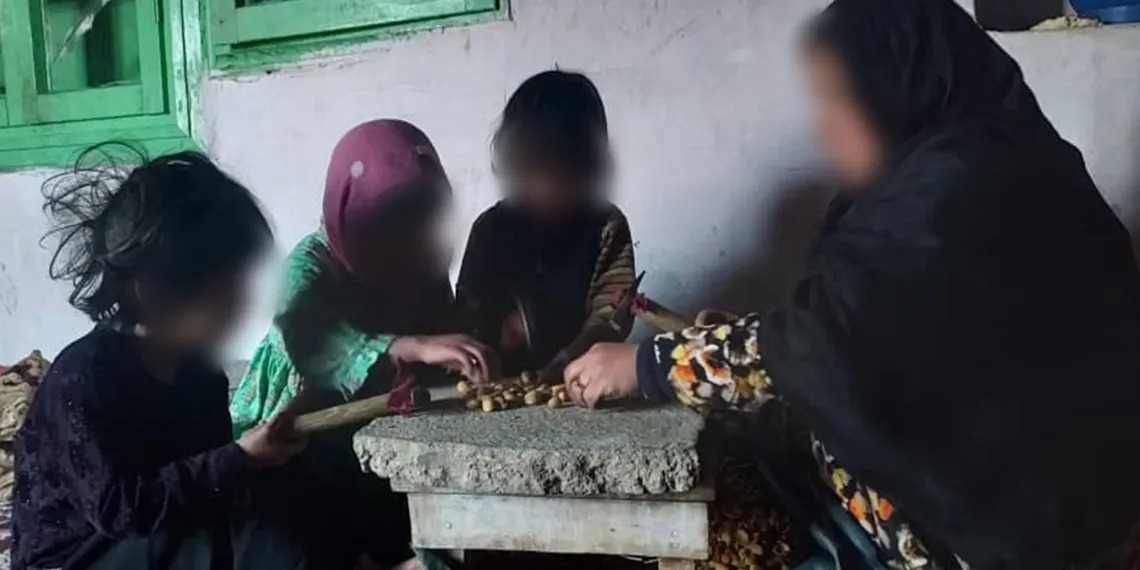 د بشري حقونو څار ډله: افغانستان کې لوږې تر ډېره ښځې او نجونې اغېزمنوي