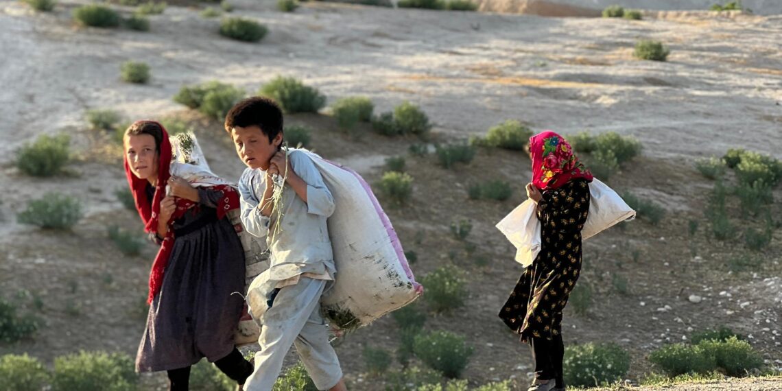 اوچا: افغانستان کې بحران ښايي نور د خبرو سرټکی نه وي، خو د میلیونونو کورنیو ژوند کې دوام لري