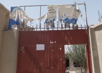 د ښځو کیسې، زما زده کوونکي ته لیک چې د ټپیانو په منځ کې دی