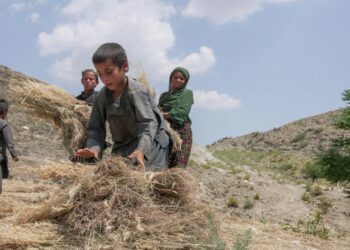 ملګرو ملتونو افغانستان کې د ماشومانو له حقونو د جدي سرغړونو د څلور زره او ۵۸۲ پېښو د ثبت خبر ورکړی
