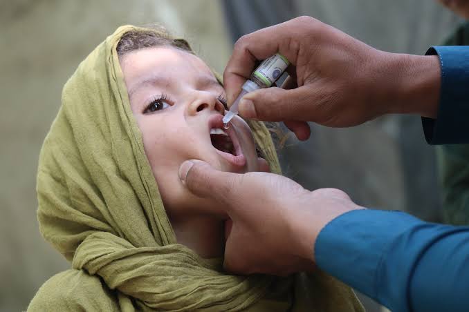 عکس: polio free Afghanistan